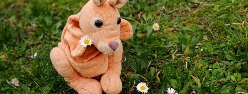 Hopla et l'arrivée du printemps avec les marionnettes de Petits Bonds