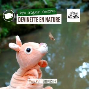 Hopla la marionnette kangourou de Petits bonds et la devinette du gorneton