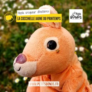 Hopla la marionnette kangourou de Petits bonds et la coccinnelle jaune du printemps