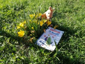 Hopla la marionnette kangourou de Petits bonds lit le livre Passeur de nature