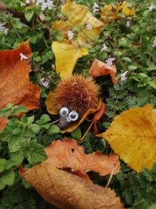 Hopla la marionnette kangourou de Petits bonds et Gaston le hérisson de la forêt