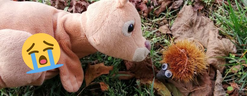 Hopla la marionnette kangourou de Petits bonds et la tristesse de Gaston le hérisson