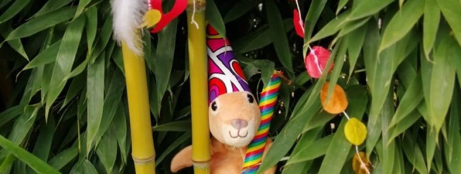 Hopla la marionnette kangourou de Petits bonds fête le carnaval