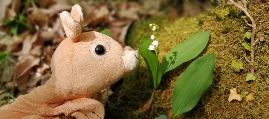 Hopla la marionnette kangourou de Petits bonds et le porte-bonheur du 1er mai